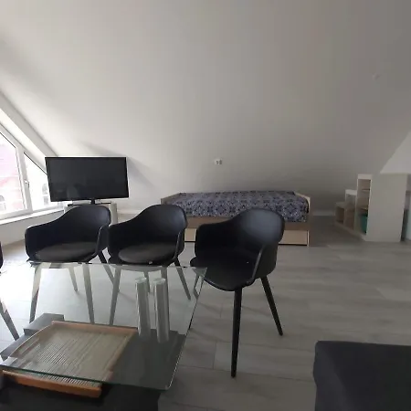 La Alexandre - Studio Na Poddaszu Apartment